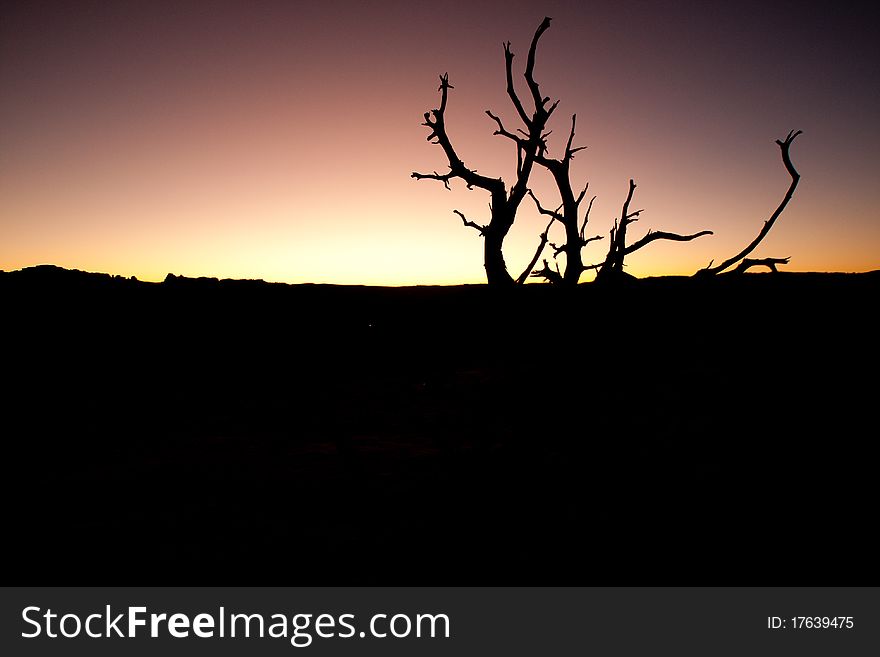 Night landscape silhouette , vison photo with a big contrast - text space. Night landscape silhouette , vison photo with a big contrast - text space