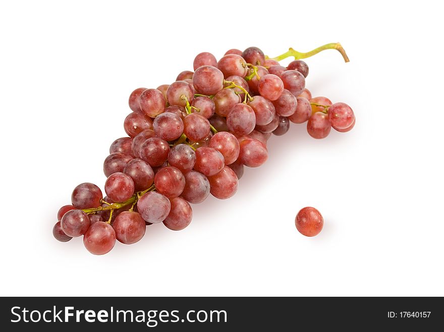 Large fruits of dark grapes. On a white background. Large fruits of dark grapes. On a white background