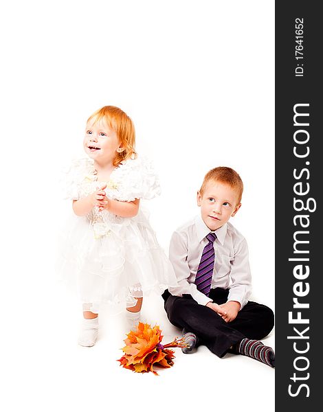 Pigeon pair with autumn leaves on a white background. Pigeon pair with autumn leaves on a white background