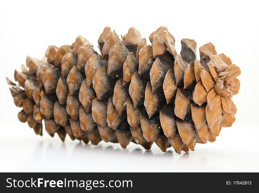 A large pine cone against a pure white background. A large pine cone against a pure white background.