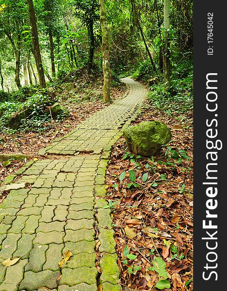 Walk path  in the park, thailand