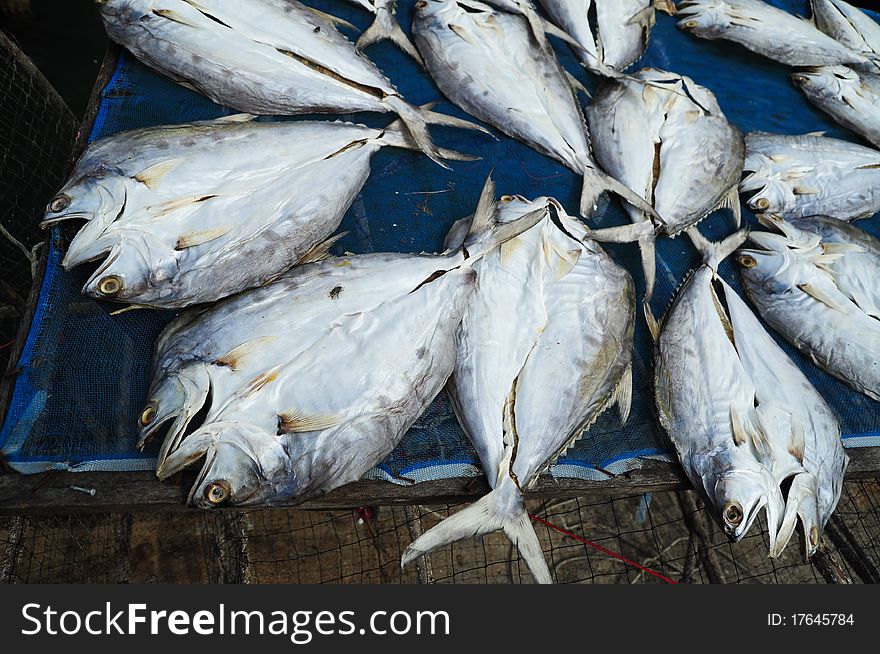 Dried Fish , used to background