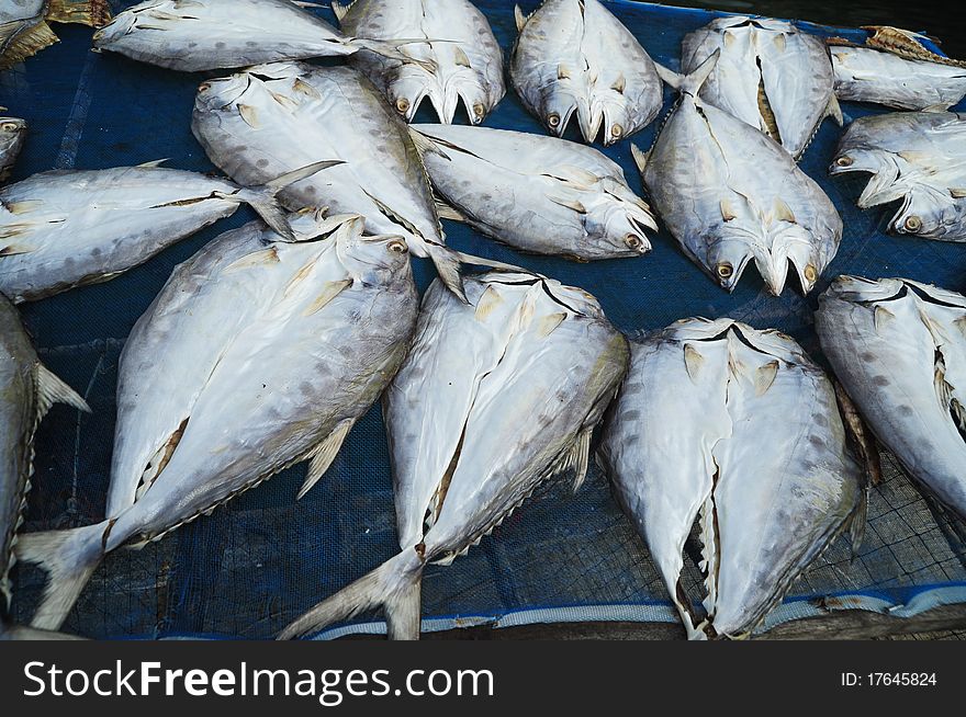 Dried Fish , used to background