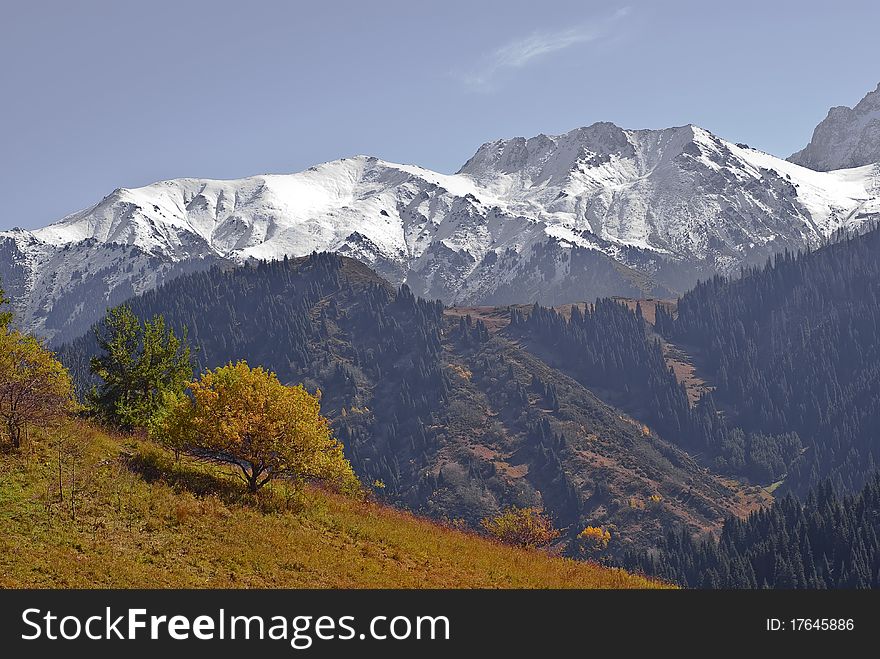 Early autumn in the mountain. Early autumn in the mountain