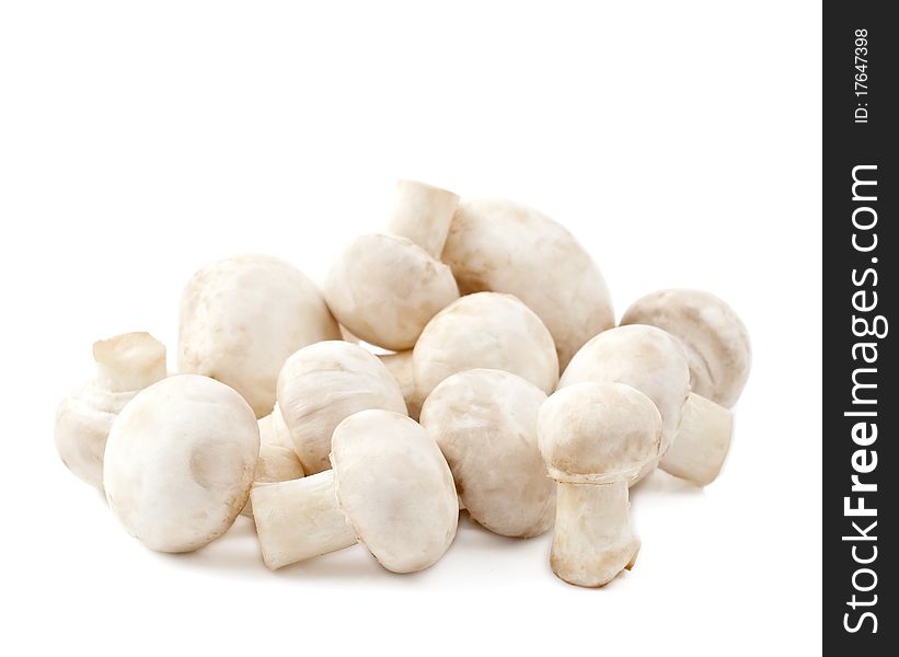 Mushrooms on a white background