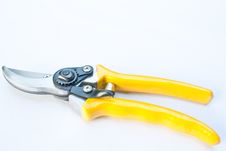 Scissor Pruning Stock Photo Scissor Pruning Stock Photo