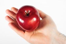 Hand With Apple Stock Image Hand With Apple Stock Image