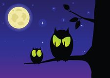 The Owl And Owlet Stock Photography The Owl And Owlet Stock Photography