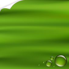 Green Background With Drops. Vector Royalty Free Stock Photography Green Background With Drops. Vector Royalty Free Stock Photography