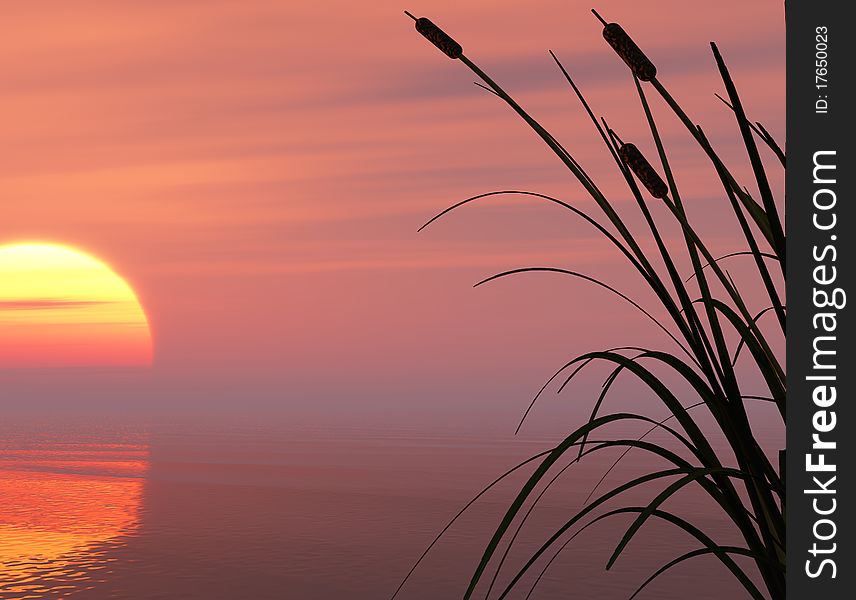 Dead tree at sunset beach