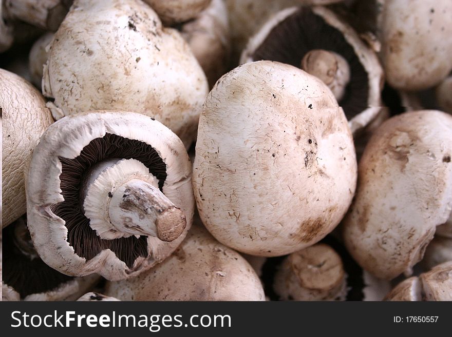 Cut off from fresh mushroom image