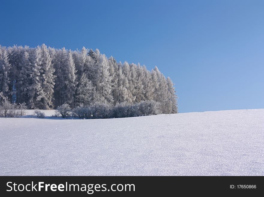 Combination lines of forest, snow-covered field and blue sky. Combination lines of forest, snow-covered field and blue sky