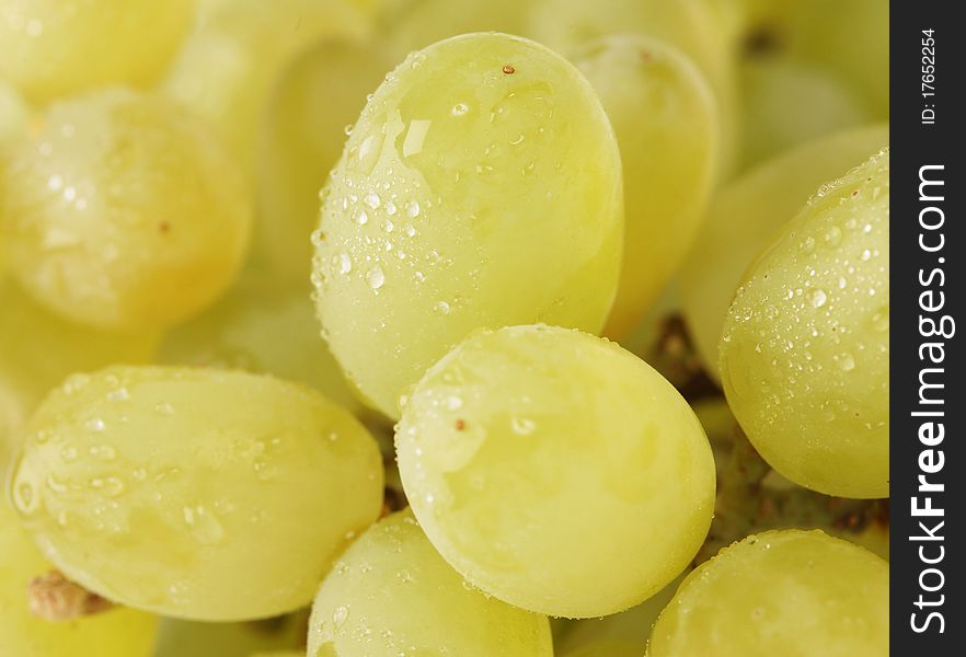 Close-up of fresh green grapes. Close-up of fresh green grapes