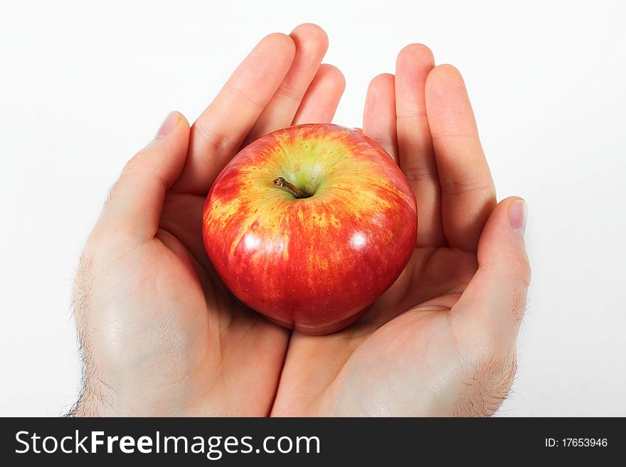 Ripe red apple in hand. Ripe red apple in hand