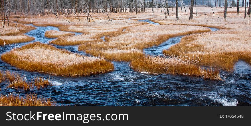 Frost covers grass and dead trees along a stream in Yellowstone National Park, Wyoming. Frost covers grass and dead trees along a stream in Yellowstone National Park, Wyoming.