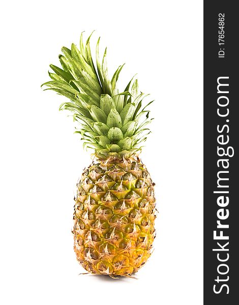 Isolated Pineapple