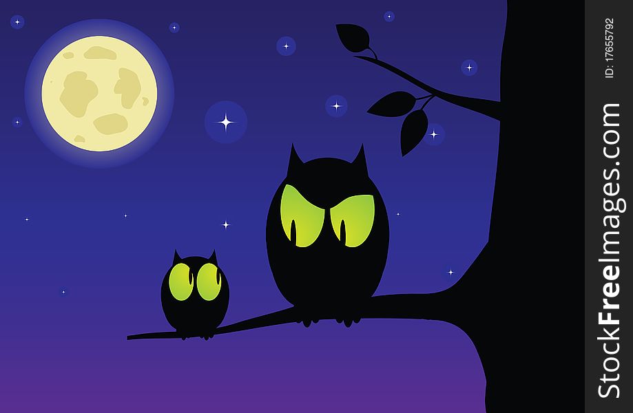 The owl and owlet in the night sky