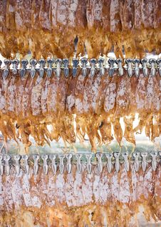 Dried Squid Stock Images