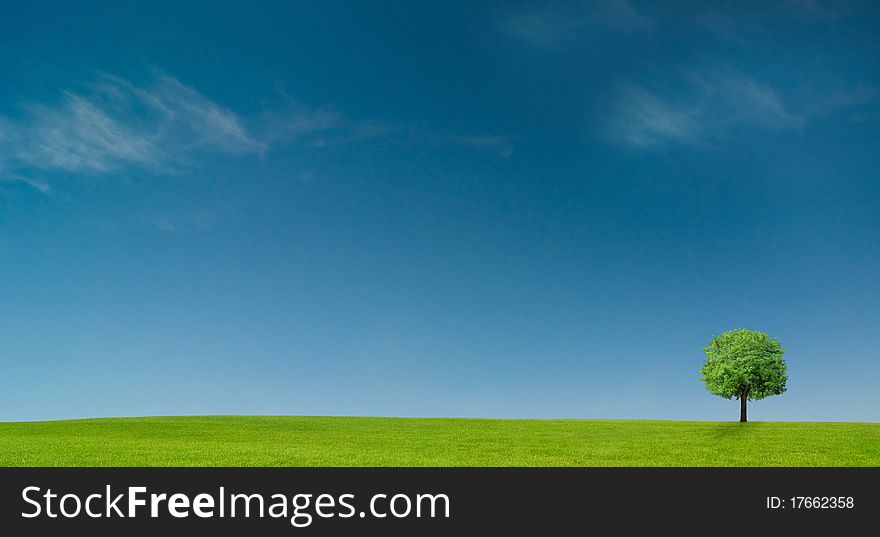 Background of cloudy sky and grass. Background of cloudy sky and grass