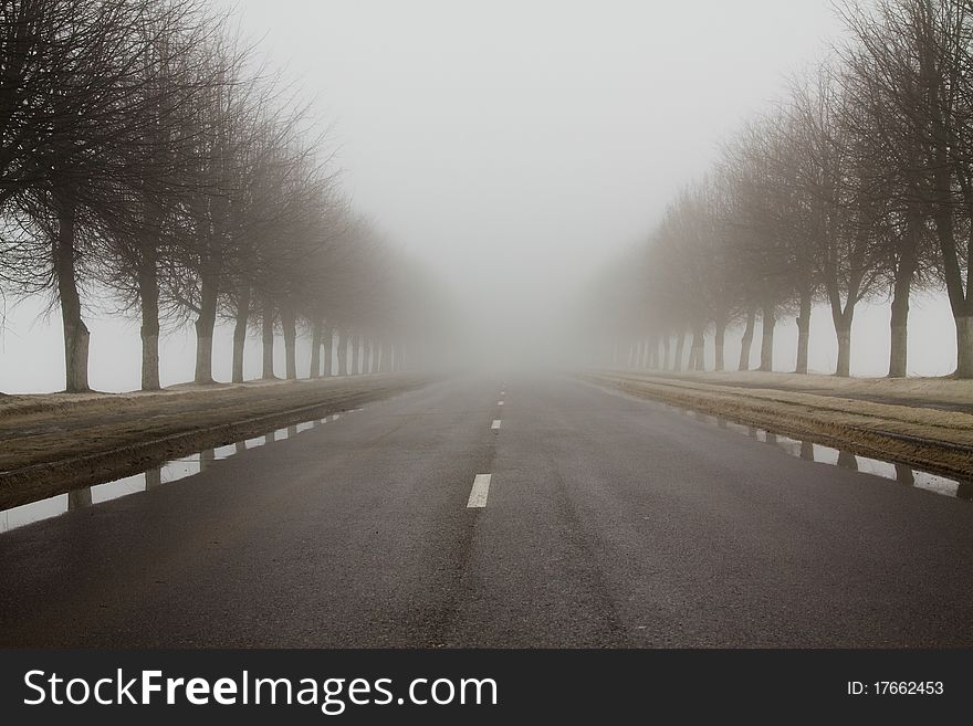 Road during the big fog in a winter season. Road during the big fog in a winter season