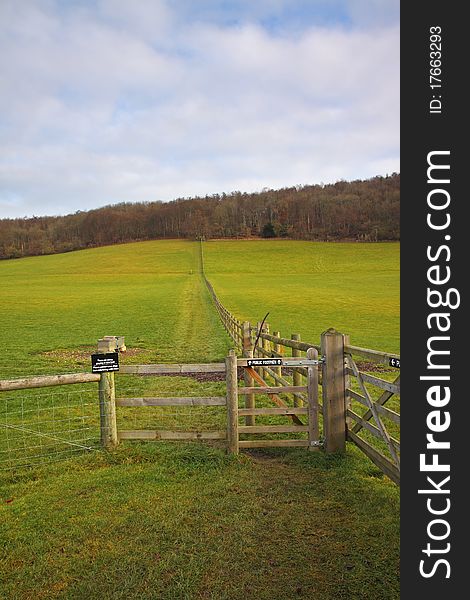 An English Rural Landscape In Winter