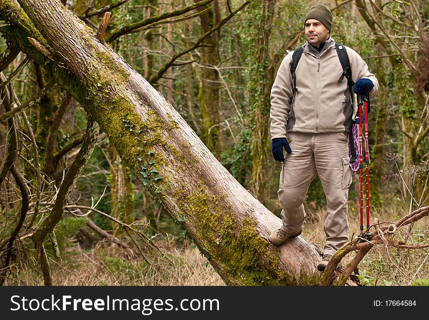 Hiker After Clibing  Tree