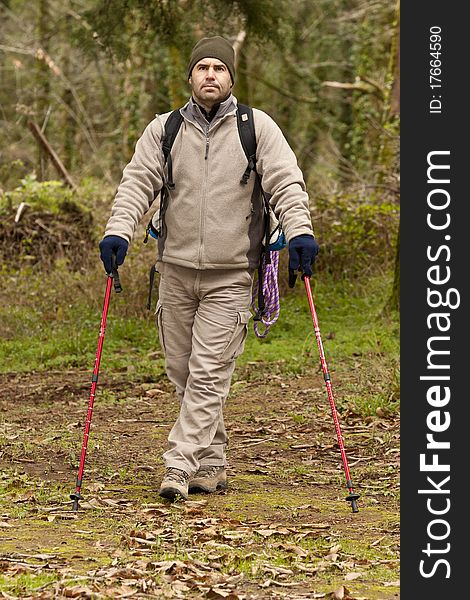 Hiker looking over the sky in the forest. Hiker looking over the sky in the forest