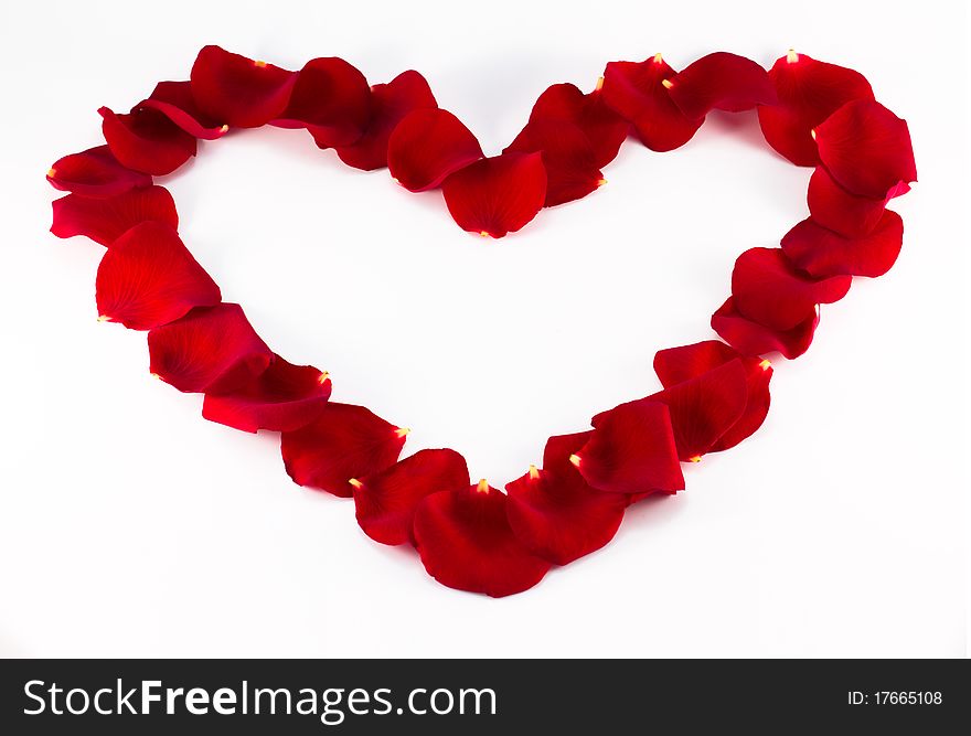 Red petals of rose create a heart shape. Red petals of rose create a heart shape