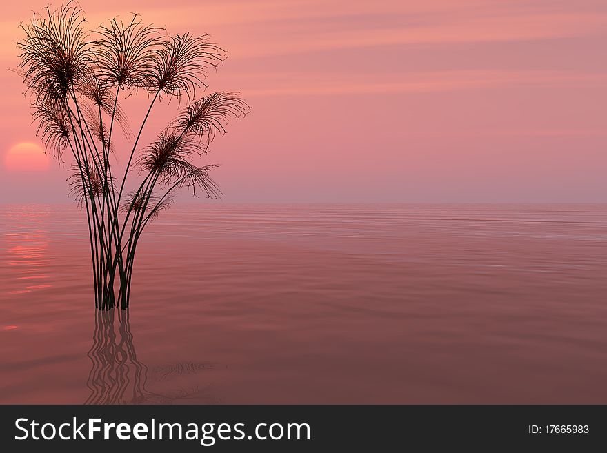 Dead tree at sunset beach