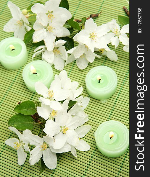 White flowers and burning candles. White flowers and burning candles