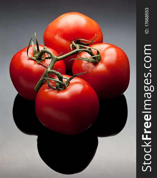 Studio shot of four red tomatoes still attached to the vine. Studio shot of four red tomatoes still attached to the vine.