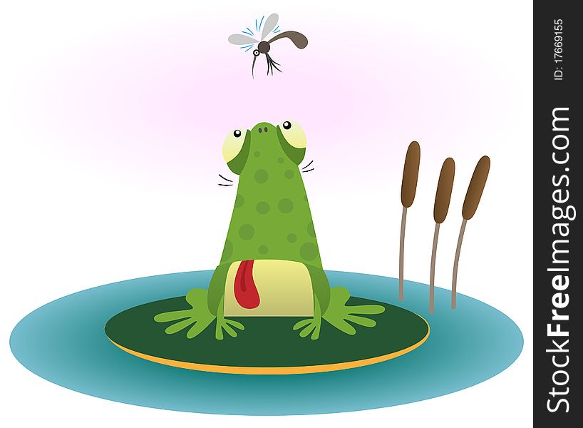 Funny cartoon illustration of frog and gnat