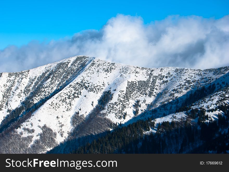 Snow-covered forest on mountain. Snow-covered forest on mountain