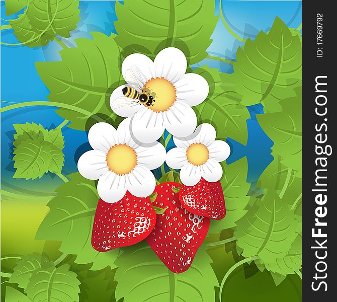 Illustration, red strawberry, white flower and bee