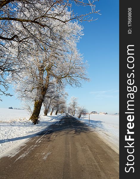 Winter road on a sunny frosty day