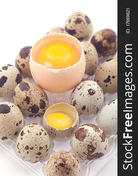 Chicken and quail eggs