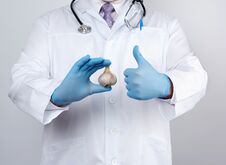 Doctor In A White Medical Coat And Blue Rubber Gloves Holds A Fresh Head Of Garlic, Prevention Against Viral Diseases Stock Image
