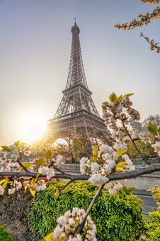 Eiffel Tower With Spring Trees Against Sunrise In Paris, France Stock Photos