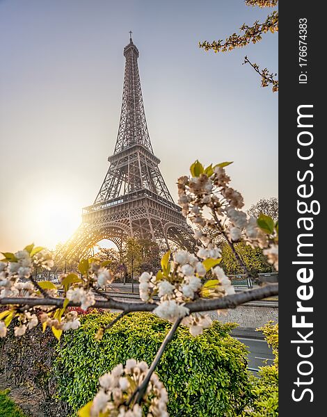 Famous Eiffel Tower with spring trees against sunrise in Paris, France