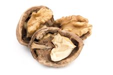 Walnut Royalty Free Stock Image Walnut Royalty Free Stock Image