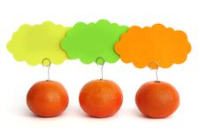 Tangerines With Label Tags Royalty Free Stock Photography Tangerines With Label Tags Royalty Free Stock Photography