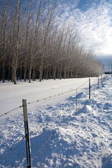 Sunny Winter S Day On The Prairie. Stock Photos Sunny Winter S Day On The Prairie. Stock Photos