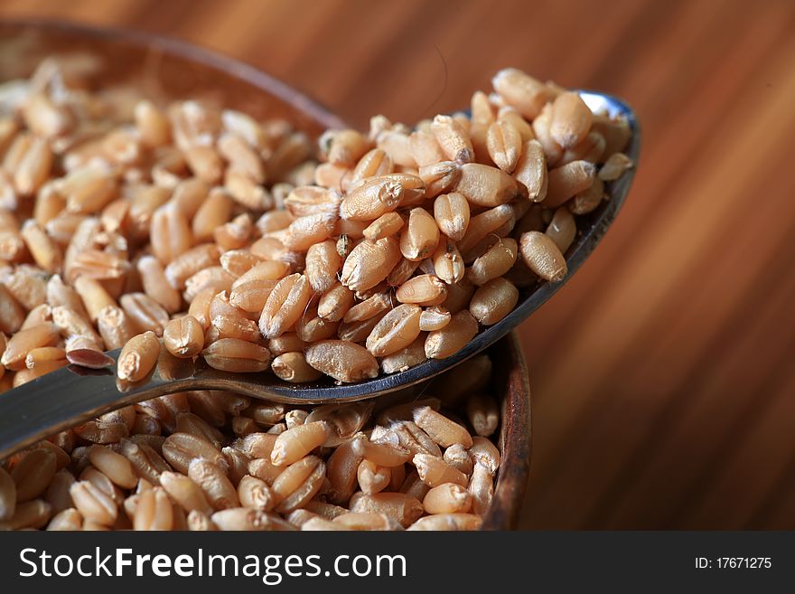 Closeup shot of wheat seeds in wooden bowl. Closeup shot of wheat seeds in wooden bowl.