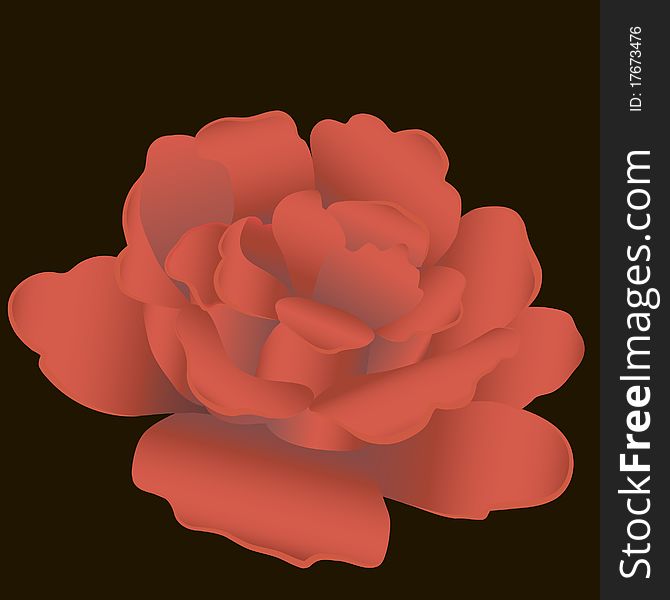 Beautiful red closeup isolated rose on a black background. Beautiful red closeup isolated rose on a black background