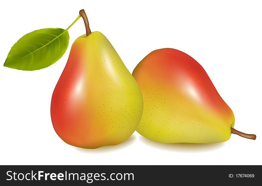 Two ripe yellow pears with green leaf. Vector