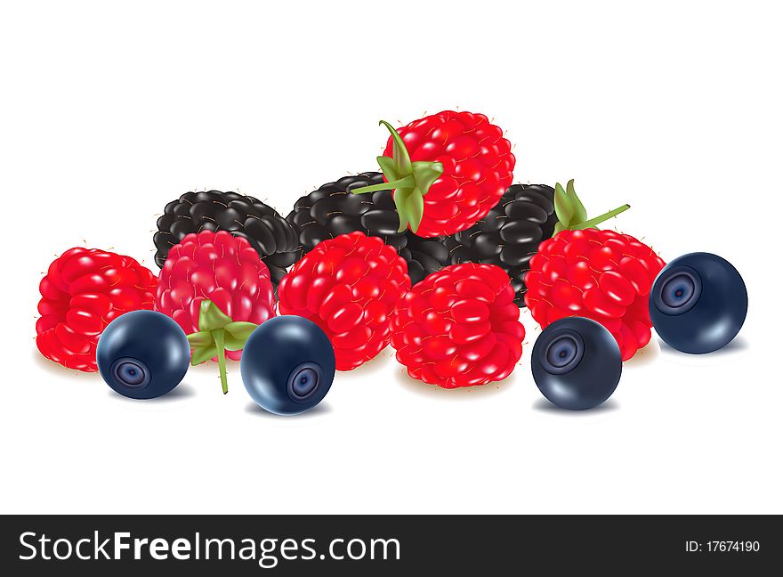 Photo-realistic illustration. Group of berries. Vector