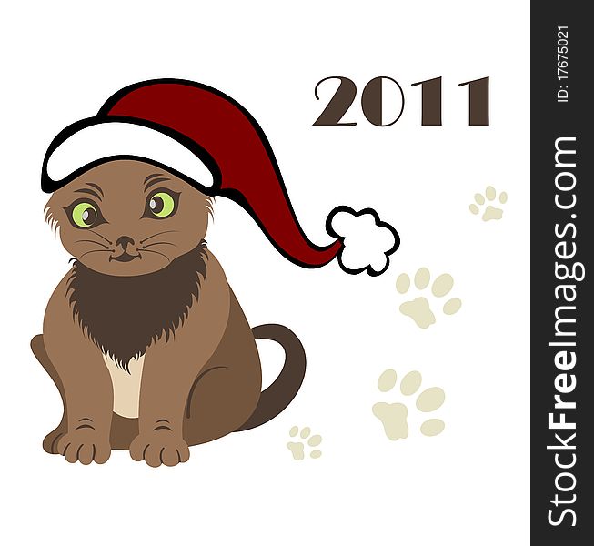 Symbol of the new year 2011 Cat - vector