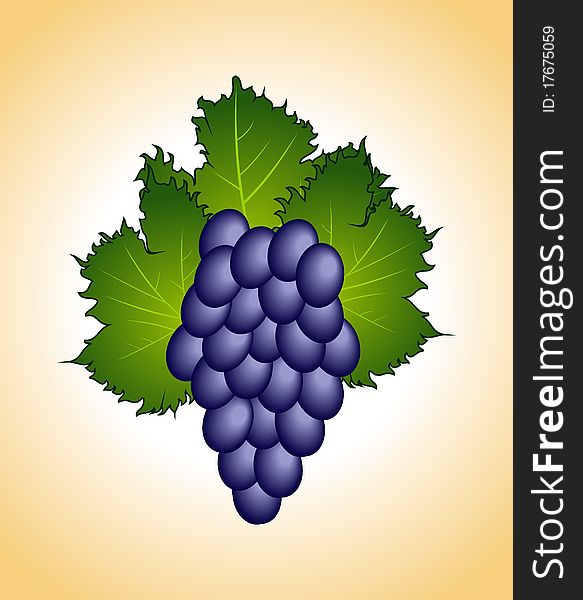 Clous-up purple grape isolated