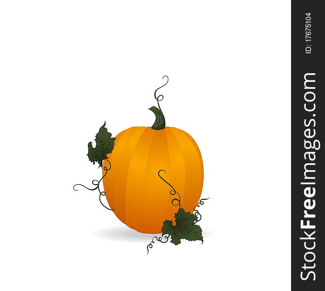 Ripe orange pumpkin vegetable with green leaves - vector