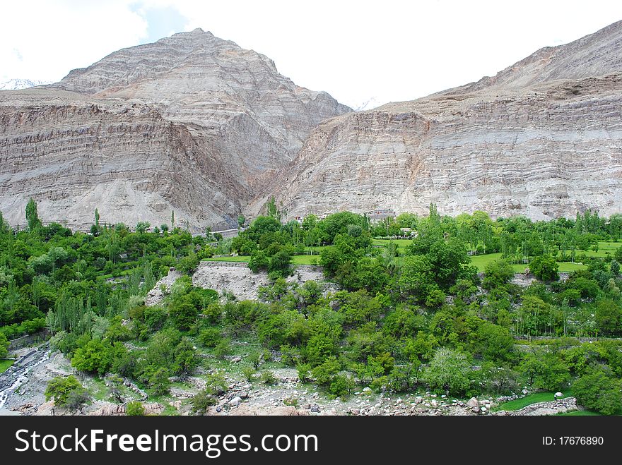 Dry Mountains And Greenery In Ladakh